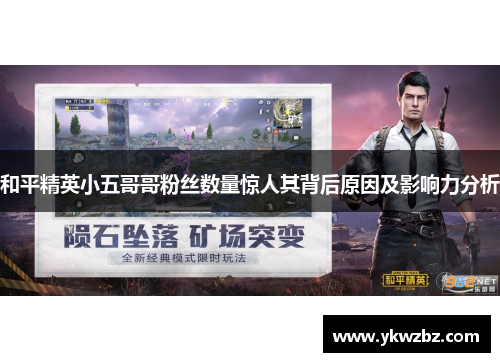 和平精英小五哥哥粉丝数量惊人其背后原因及影响力分析