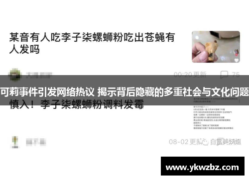 可莉事件引发网络热议 揭示背后隐藏的多重社会与文化问题