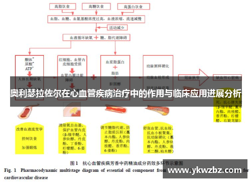 奥利瑟拉佐尔在心血管疾病治疗中的作用与临床应用进展分析