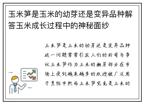 玉米笋是玉米的幼芽还是变异品种解答玉米成长过程中的神秘面纱